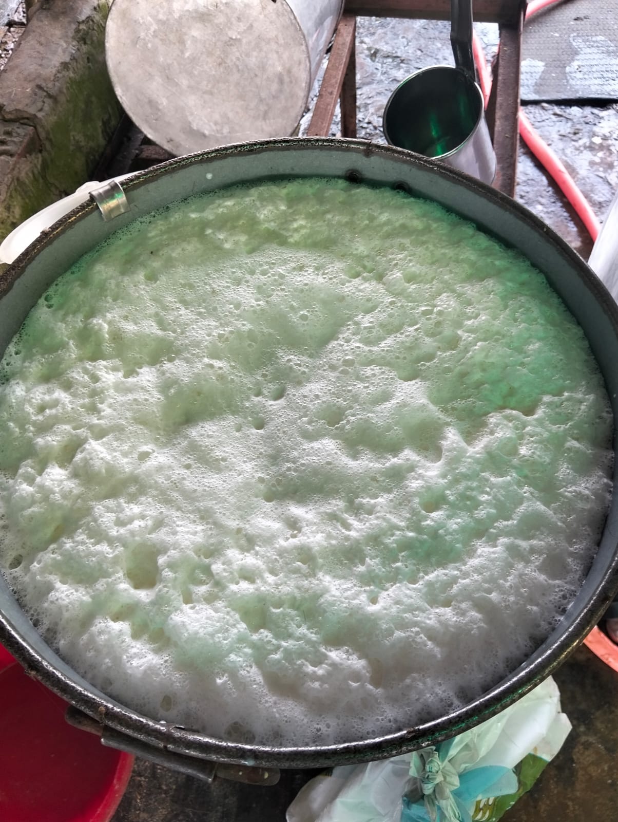 গরুর খাঁটি দুধ