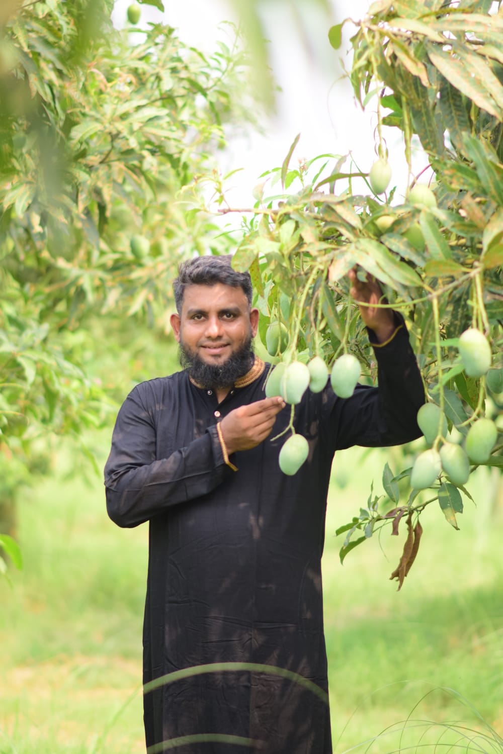 আম্রপালি আম