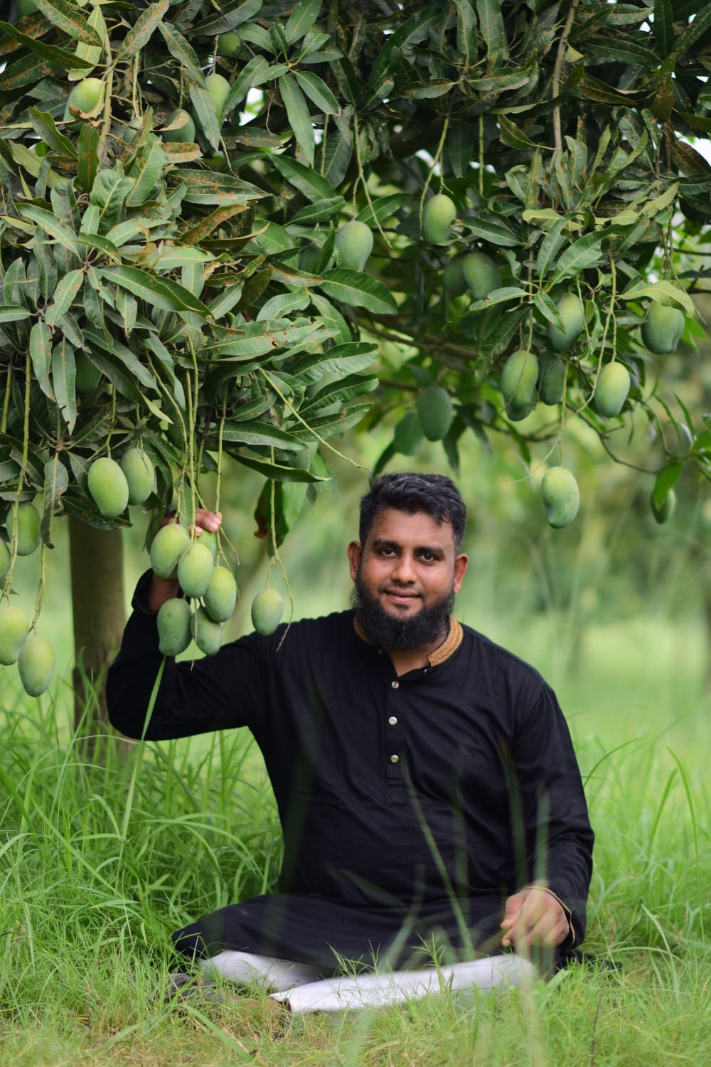 আম্রপালি আম